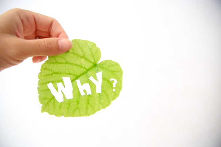 なぜ虫歯は再発するのか考えるイメージ