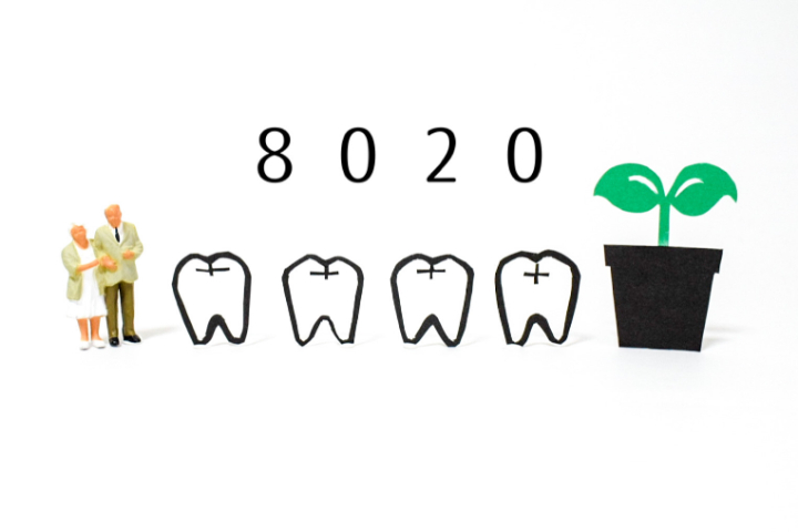 80歳で20本以上の歯を残す日本の目標を示すイメージ